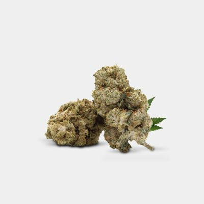 CBN+ 30% – Malibu Skittelz (5G)