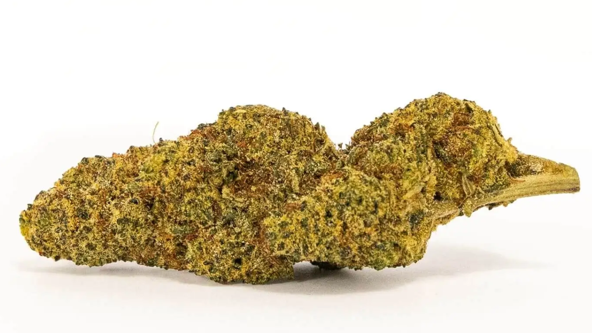 CALI BUDS THC-JD: RUNTZ